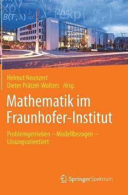 bokomslag Mathematik im Fraunhofer-Institut