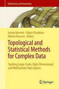 bokomslag Topological and Statistical Methods for Complex Data