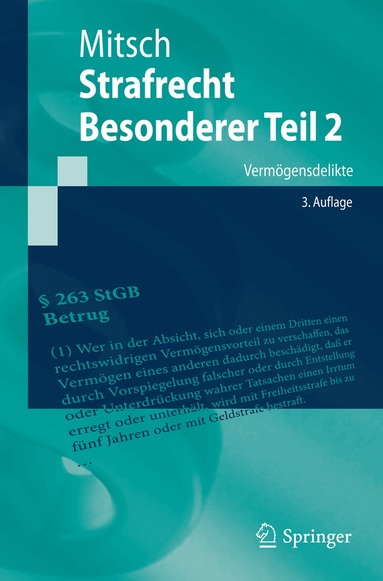Wolfgang Mitsch - Strafrecht, Besonderer Teil 2, Häftad