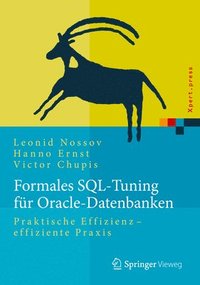 bokomslag Formales SQL-Tuning fr Oracle-Datenbanken