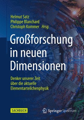 bokomslag Großforschung in neuen Dimensionen