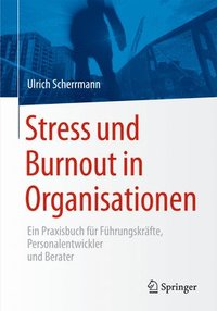 bokomslag Stress und Burnout in Organisationen