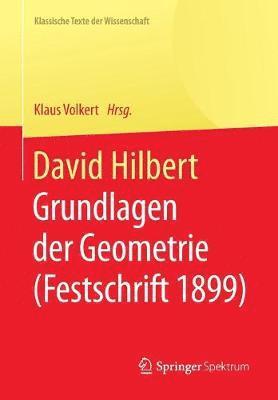 bokomslag David Hilbert