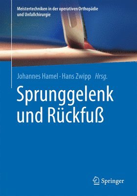 bokomslag Sprunggelenk und Rckfu