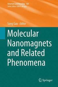 bokomslag Molecular Nanomagnets and Related Phenomena