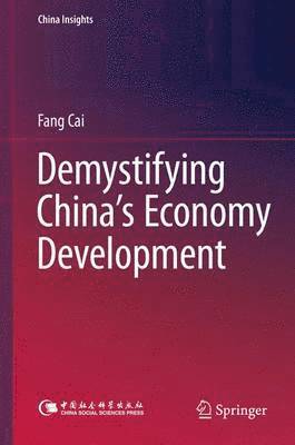 bokomslag Demystifying Chinas Economy Development