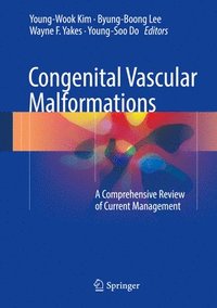 bokomslag Congenital Vascular Malformations