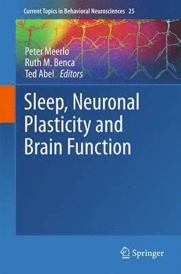 Sleep, Neuronal Plasticity and Brain Function 1