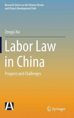 bokomslag Labor Law in China