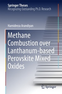 bokomslag Methane Combustion over Lanthanum-based Perovskite Mixed Oxides