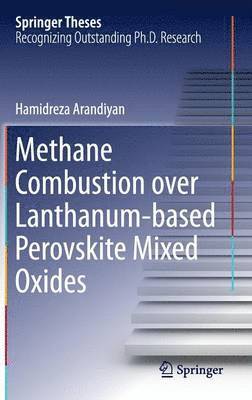 Hamidreza Arandiyan - Methane Combustion over Lanthanum-based Perovskite Mixed Oxides, Inbunden