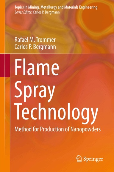 Rafael M. Trommer, Carlos P. Bergmann - Flame Spray Technology, Inbunden