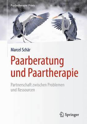 bokomslag Paarberatung und Paartherapie