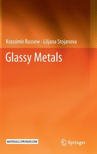 bokomslag Glassy Metals