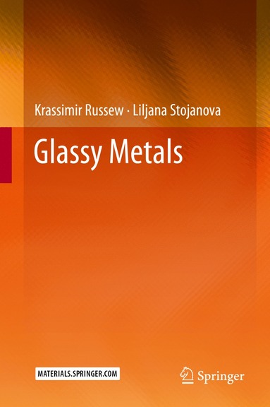 bokomslag Glassy Metals