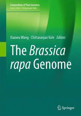 bokomslag The Brassica rapa Genome