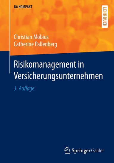 bokomslag Risikomanagement in Versicherungsunternehmen