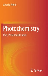 bokomslag Photochemistry