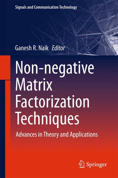 Ganesh R. Naik - Non-negative Matrix Factorization Techniques, Inbunden