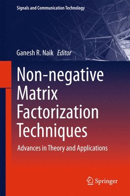 Ganesh R. Naik - Non-negative Matrix Factorization Techniques, Inbunden