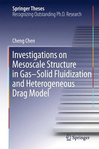 bokomslag Investigations on Mesoscale Structure in GasSolid Fluidization and Heterogeneous Drag Model