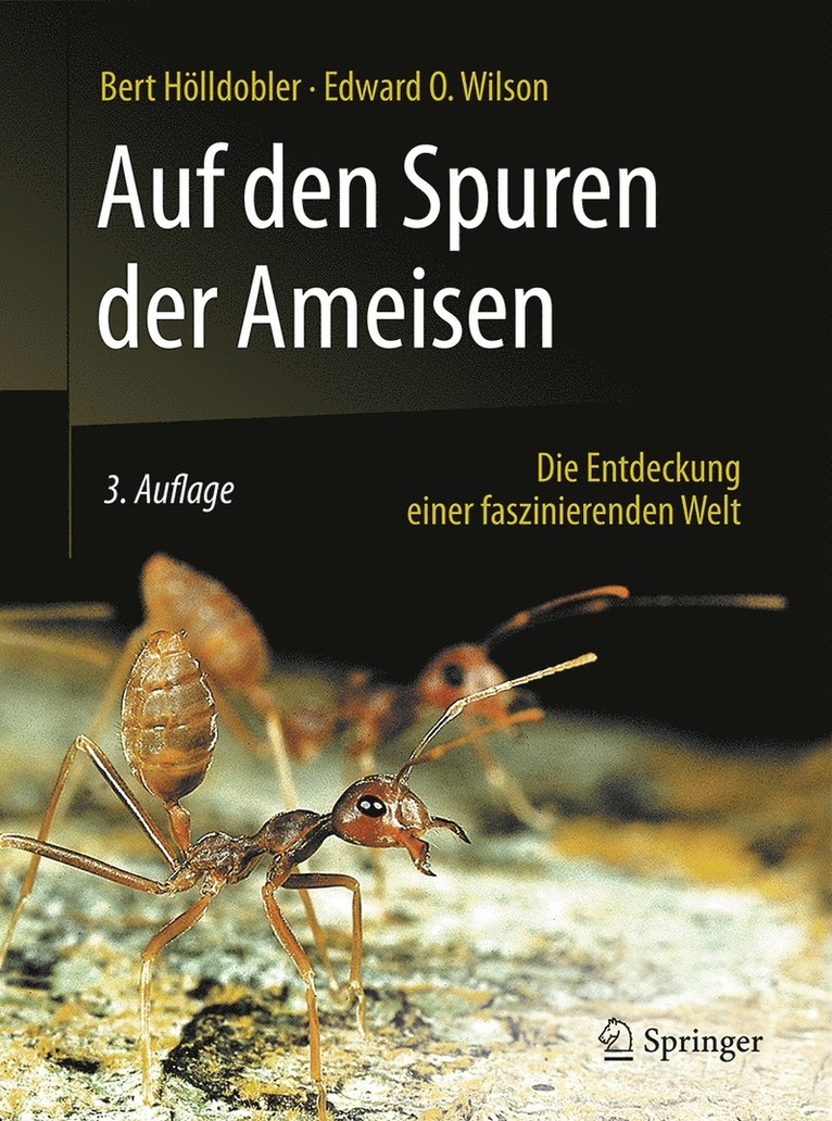 Bert Hölldobler, Edward O. Wilson - Auf den Spuren der Ameisen, Häftad