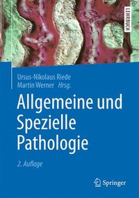 bokomslag Allgemeine und Spezielle Pathologie