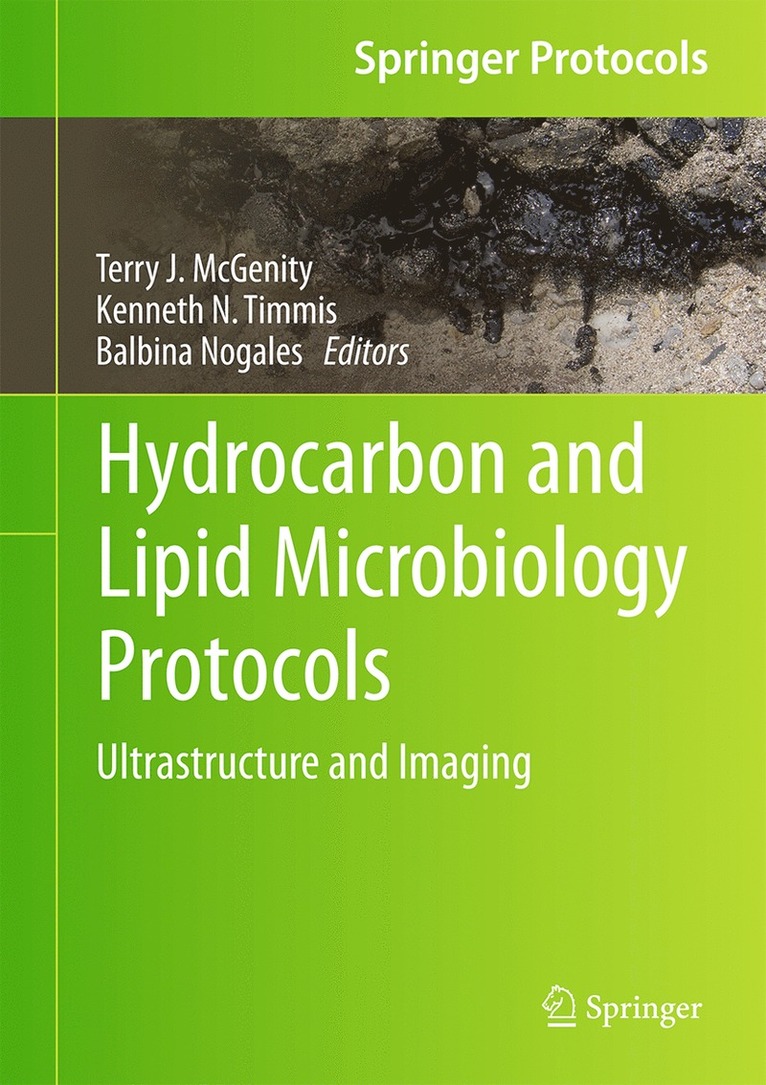 Terry J. McGenity, Kenneth N. Timmis, Balbina Nogales - Hydrocarbon and Lipid Microbiology Protocols, Inbunden