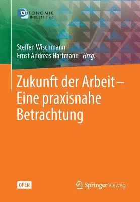 bokomslag Zukunft der Arbeit  Eine praxisnahe Betrachtung