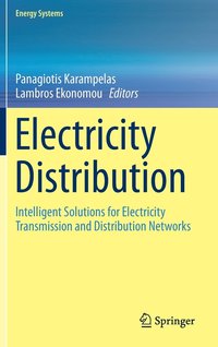 bokomslag Electricity Distribution