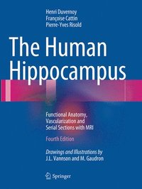 bokomslag The Human Hippocampus