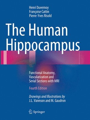 The Human Hippocampus 1