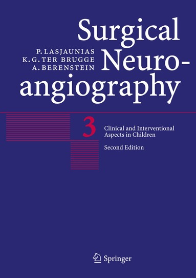 P. Lasjaunias, K.G. ter Brugge, A. Berenstein - Surgical Neuroangiography, Häftad