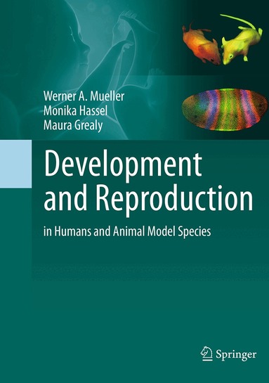 Werner A. Mueller, Monika Hassel, Maura Grealy - Development and Reproduction in Humans and Animal Model Species, Häftad
