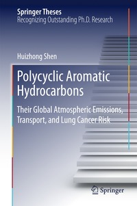 bokomslag Polycyclic Aromatic Hydrocarbons