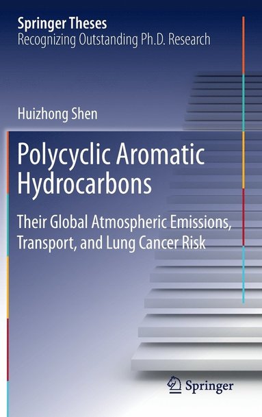 bokomslag Polycyclic Aromatic Hydrocarbons