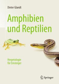 bokomslag Amphibien und Reptilien