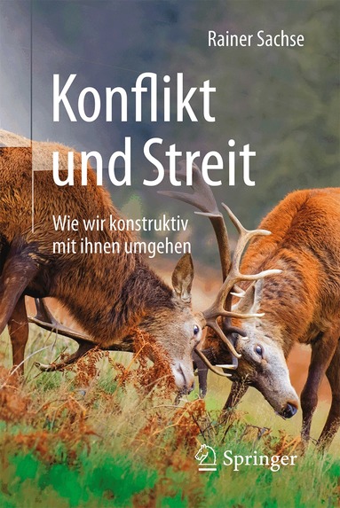 Rainer Sachse - Konflikt und Streit, Häftad