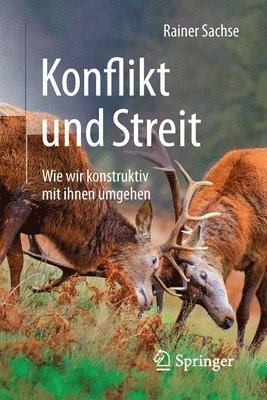 bokomslag Konflikt und Streit