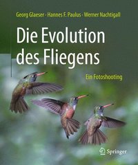 bokomslag Die Evolution des Fliegens  Ein Fotoshooting