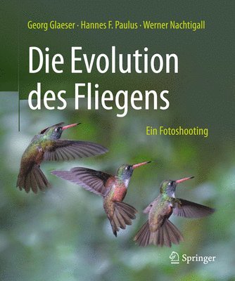 bokomslag Die Evolution des Fliegens  Ein Fotoshooting