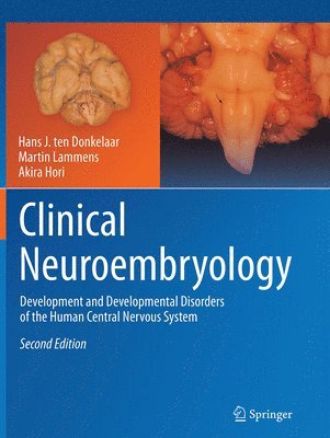 bokomslag Clinical Neuroembryology