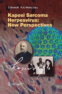 bokomslag Kaposi Sarcoma Herpesvirus: New Perspectives