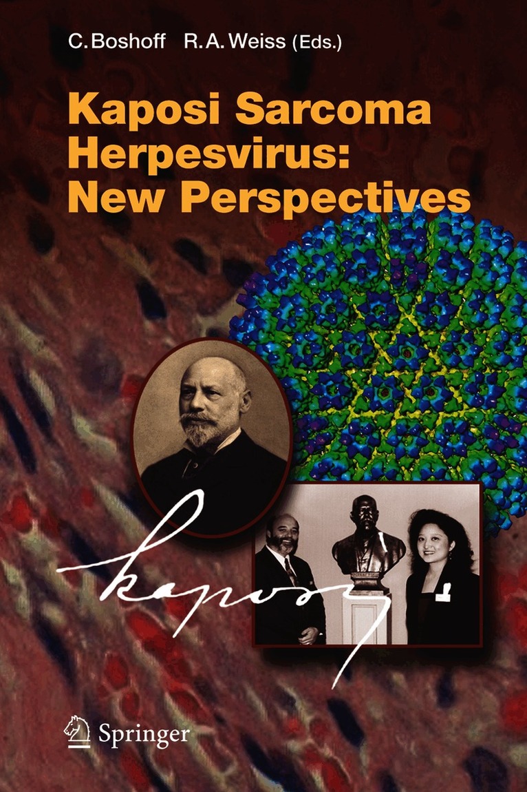 Chris Boshoff, R.A. Weiss, R. a. Weiss, R. A. Weiss - Kaposi Sarcoma Herpesvirus: New Perspectives, Häftad