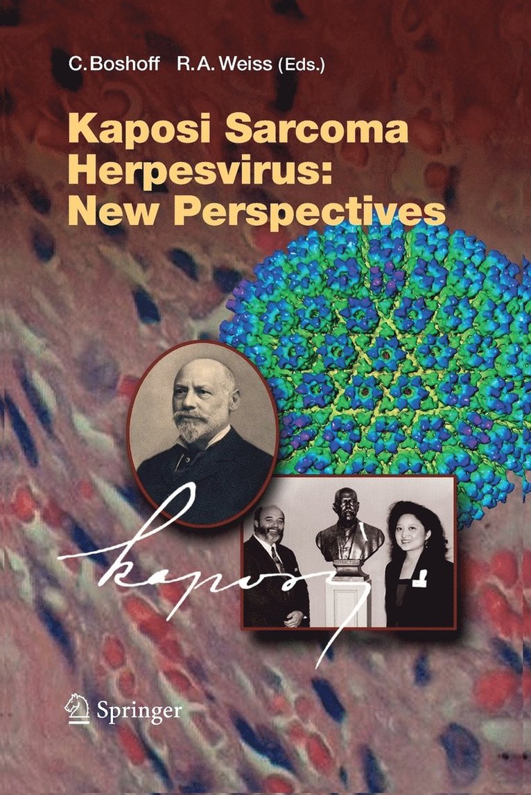 Kaposi Sarcoma Herpesvirus: New Perspectives 1