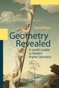 bokomslag Geometry Revealed