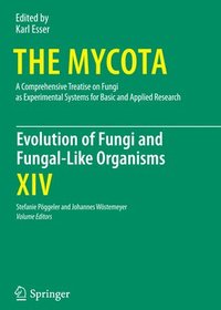 bokomslag Evolution of Fungi and Fungal-Like Organisms