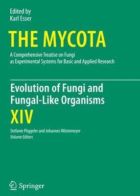 Evolution of Fungi and Fungal-Like Organisms 1