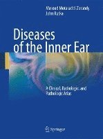 bokomslag Diseases of the Inner Ear