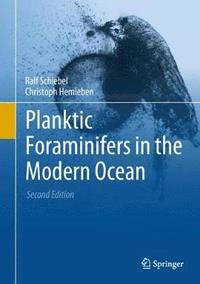 bokomslag Planktic Foraminifers in the Modern Ocean